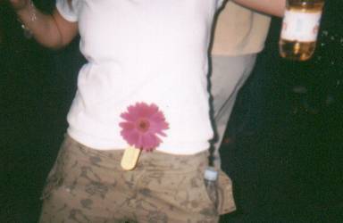 samieflower.jpg